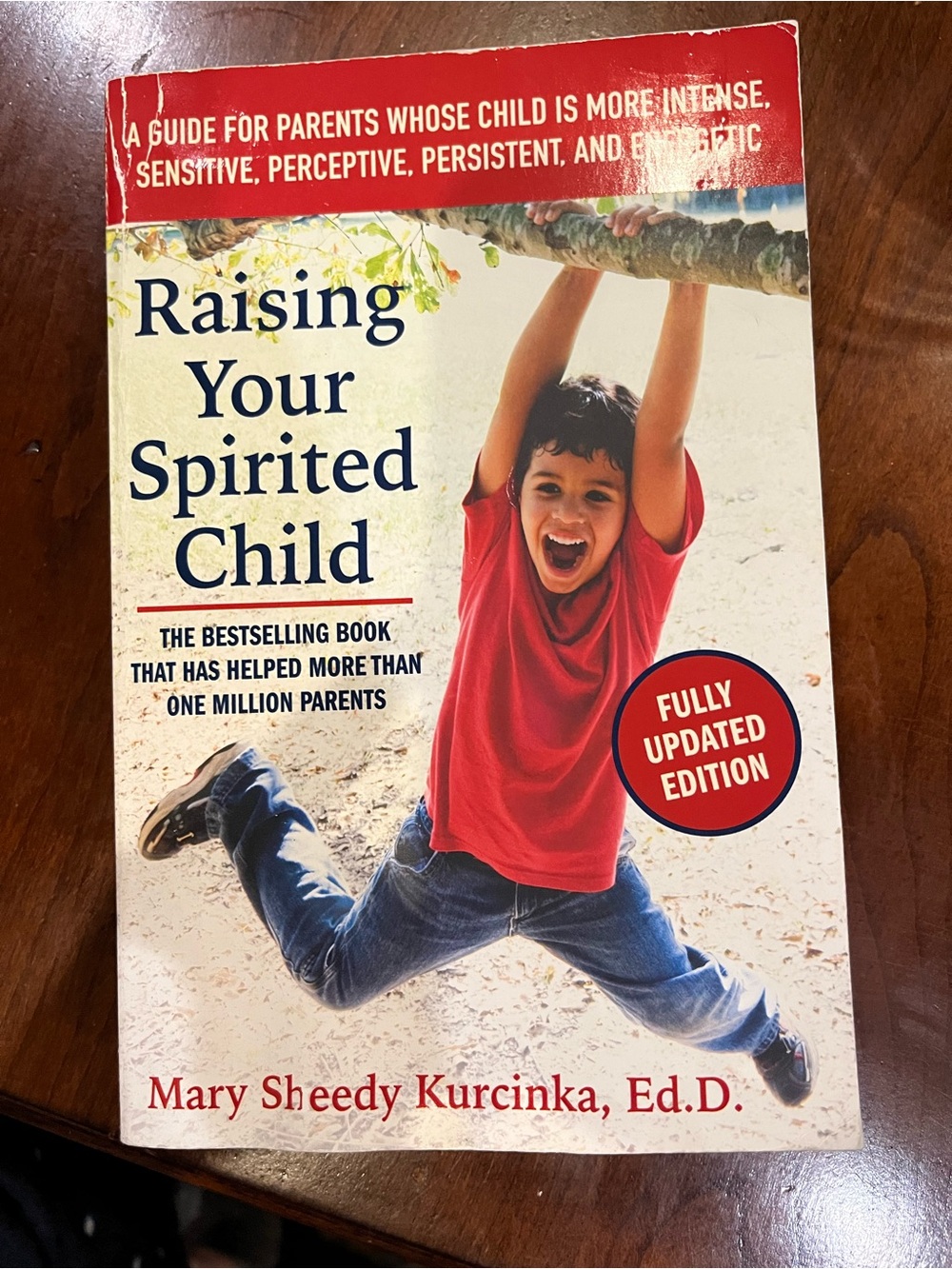 Raising Your Spirited Child - Red Cover by Mary Sheedy Kurcinka